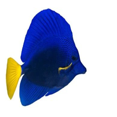 category